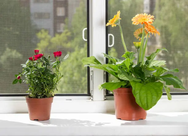 mosquito barrier for mosquito control in Kenya